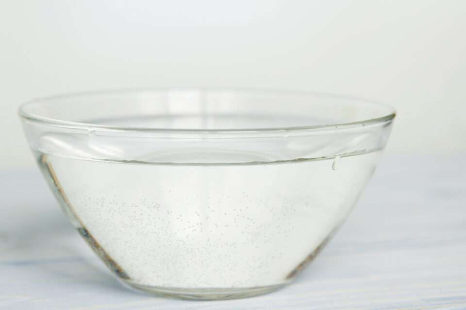 Bowl with water on a white background